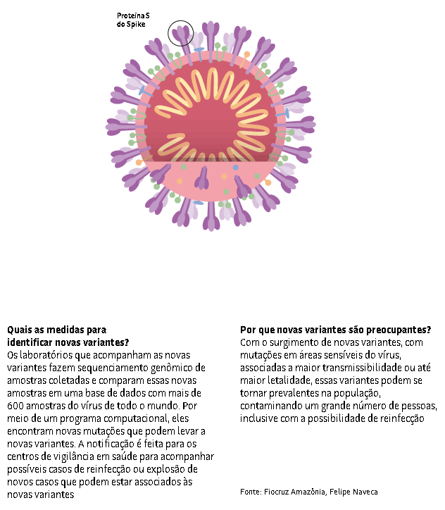Nova variante do coronavírus em Manaus já domina região